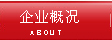 企業(yè)概況